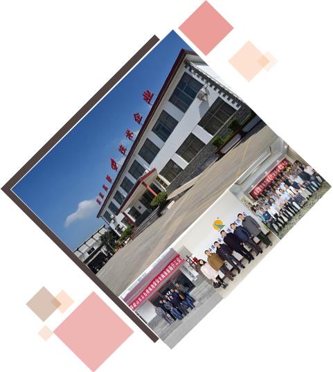 img04.jpg 01